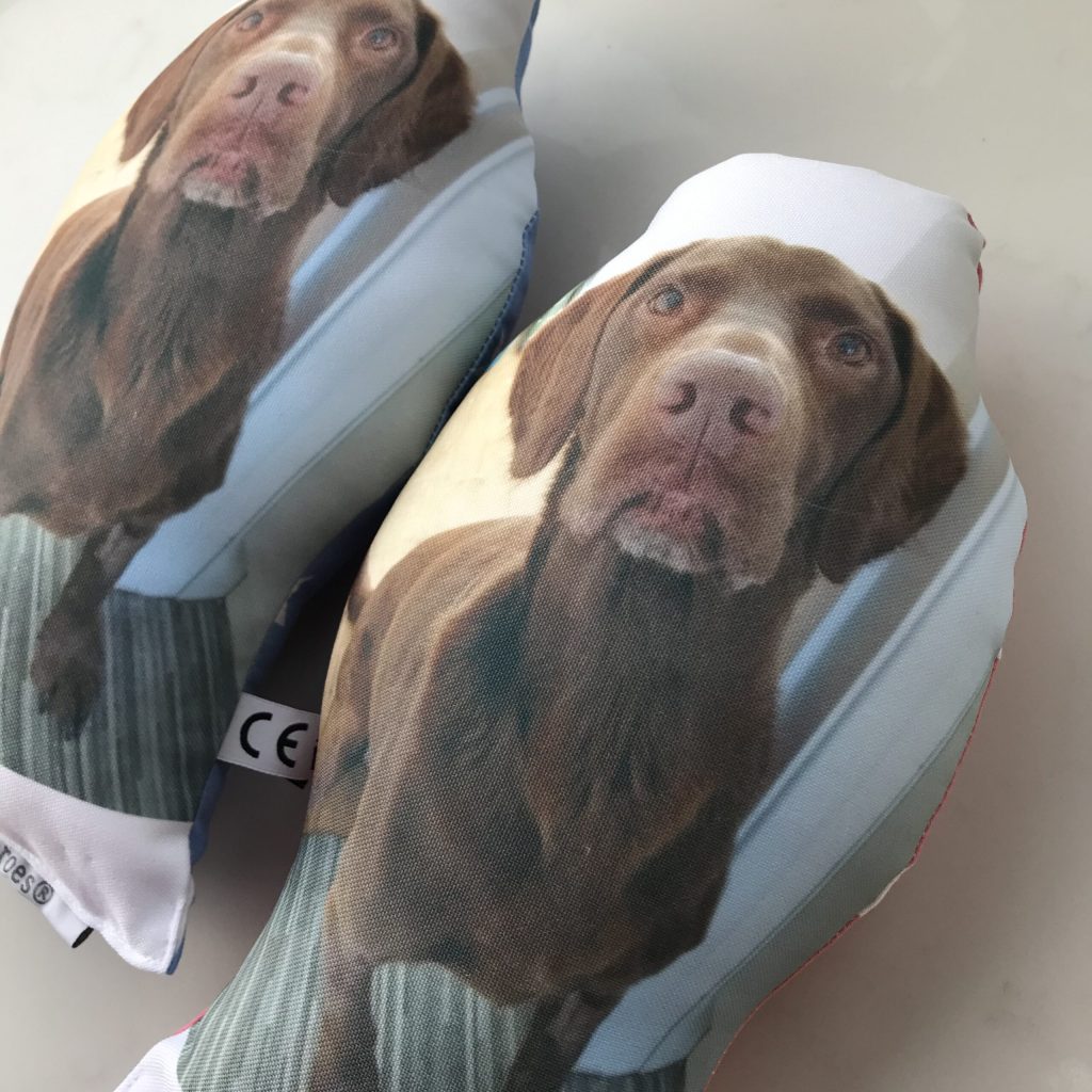 Pet - Huggable Hero