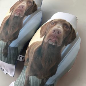 Pet - Huggable Hero